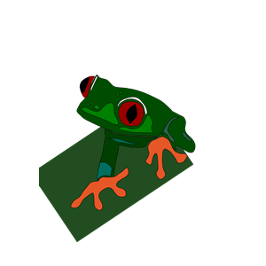 red eye frog mirko maisc 01