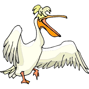 Pelican 17
