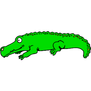 Alligator 05