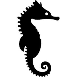 Seahorse 1