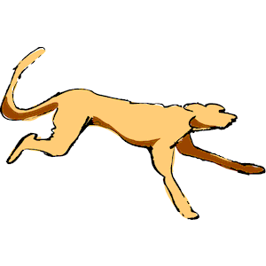 Cat 1