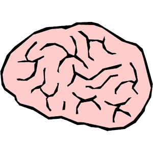 Brain 6