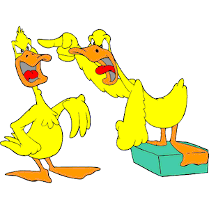 Ducks Yelling