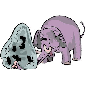 Elephant Under Rock
