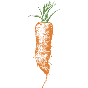 half long carrot