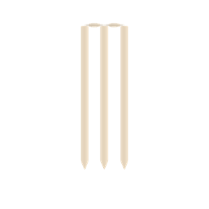 Cricket Stumps and Rails