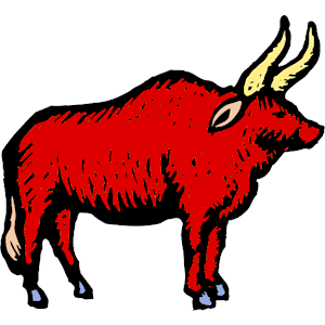 Bull 25