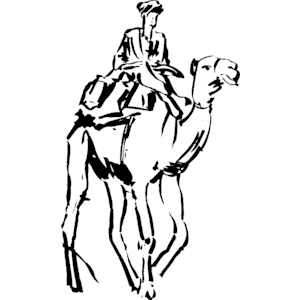 Camel 02