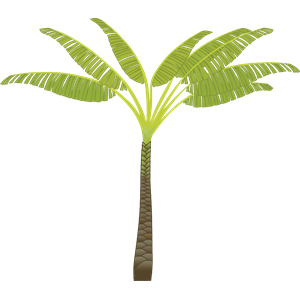 palm_tree.svg