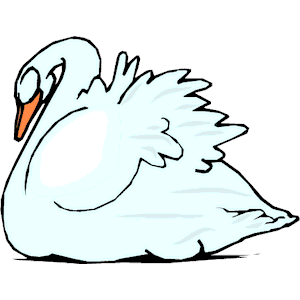 Swan 22