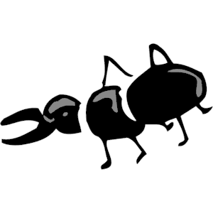 Bug 05