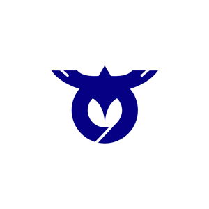 Flag of Asuke, Aichi
