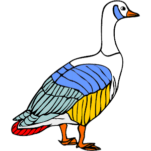 Goose 08