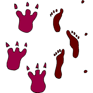Pawprints Footprints