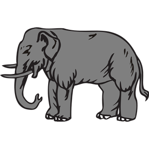 Elephant 8