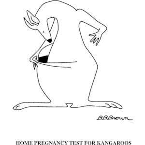 Kangaroo Pregnancy Test