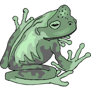 frog19