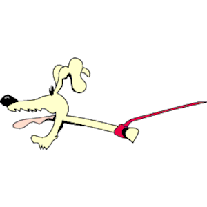 Dog on Leash