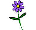 Flower 2 purple