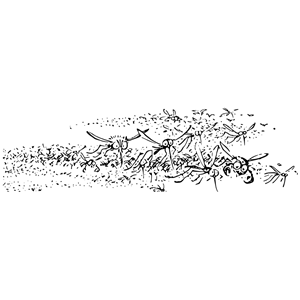 A Swarm of Moskitos