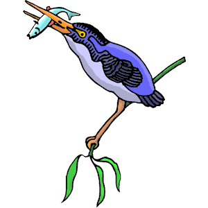 Kingfisher 08