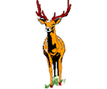 Deer 03