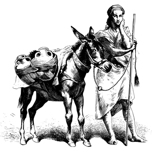 Woman and donkey
