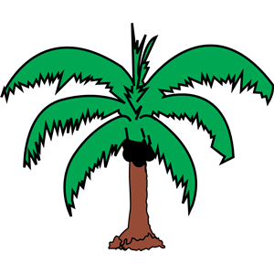Coconut palm 2