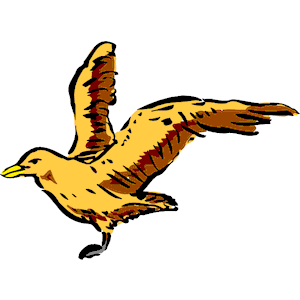 Bird Flying 09