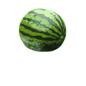 watermelon james kilfige 01
