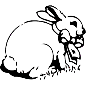 Bunny 06
