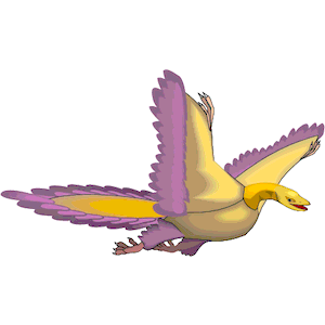 Archaeopteryx 2
