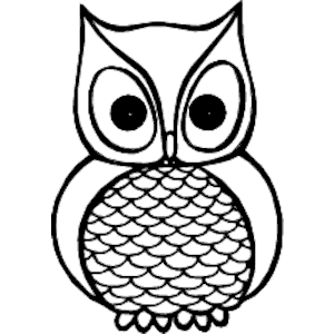 Owl 14