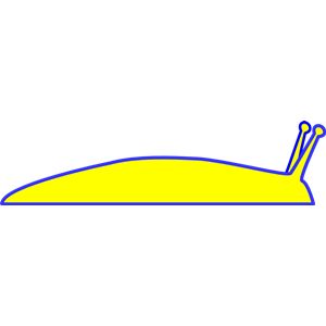 Yellow Slug
