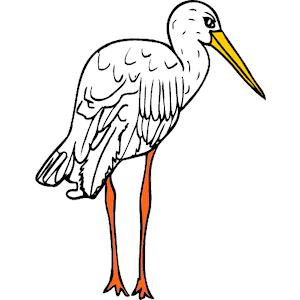 Stork 04