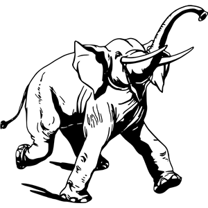 Elephant 3