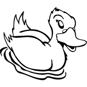 Duck 022