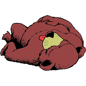 Bear Sleeping 1
