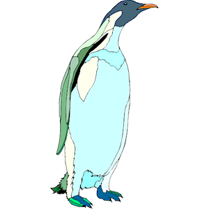 Penguin 21