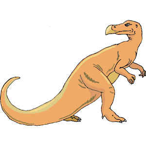 Dinornis 23