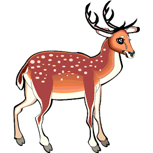 Deer - Spotted