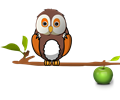 Owl Sitting On A Branch