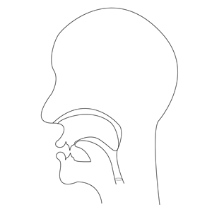 midsagittal SH - voiceless palato-alveolar fricative