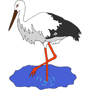 Kress's stork in a pond vectorized