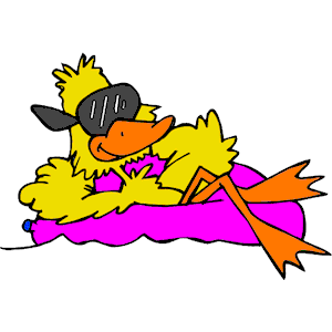 Duck Lounging