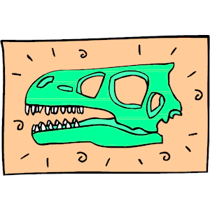Dinosaur Skull 13