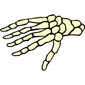 Hand 8