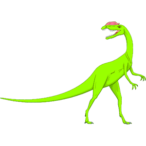 Dinornis 14