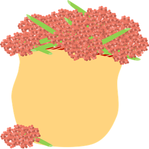 Basket of pink berries