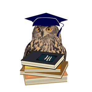 owl as wisdom symbol
